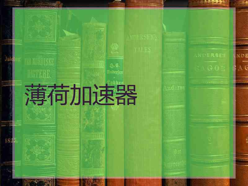 薄荷加速器