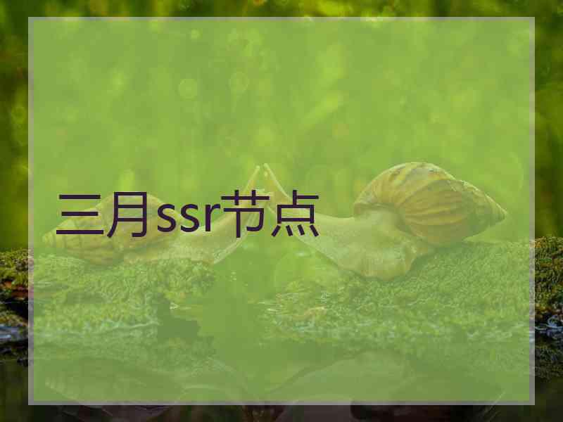 三月ssr节点