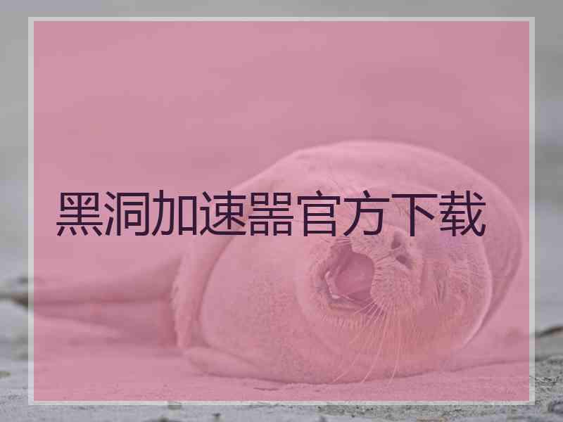黑洞加速噐官方下载