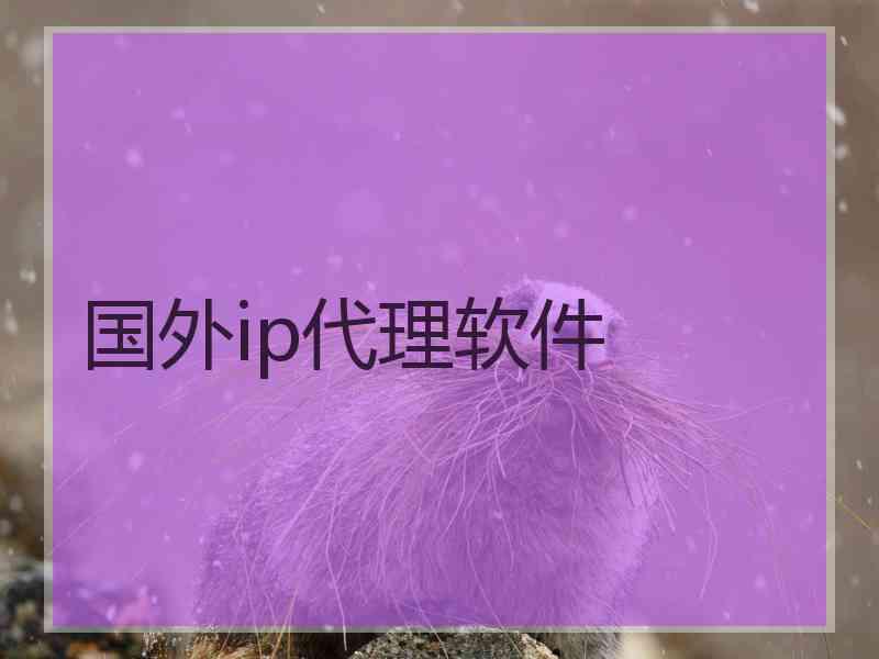 国外ip代理软件