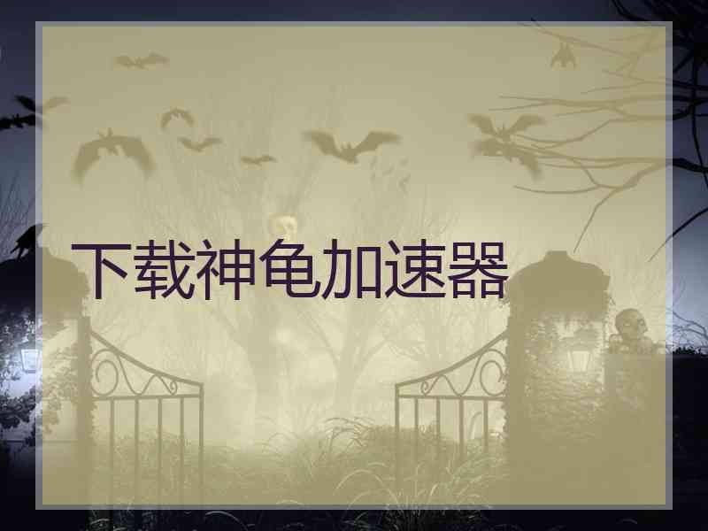下载神龟加速器