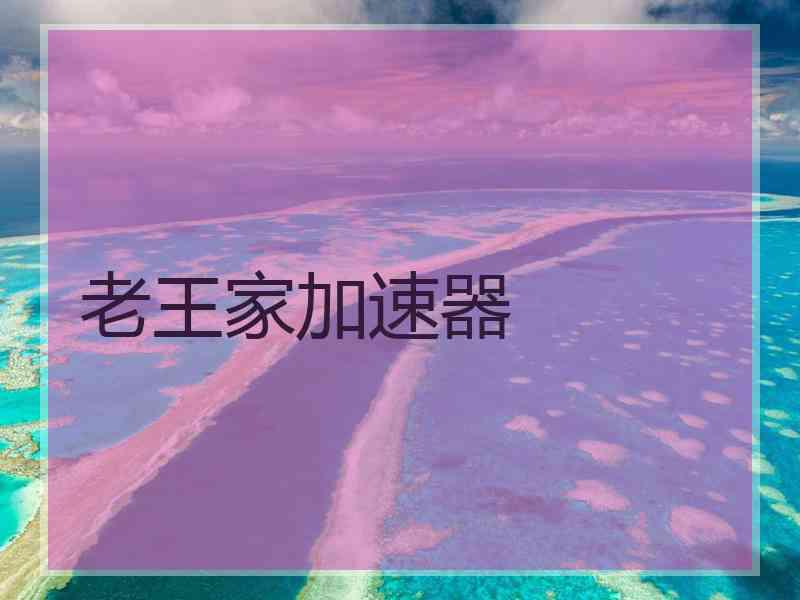 老王家加速器