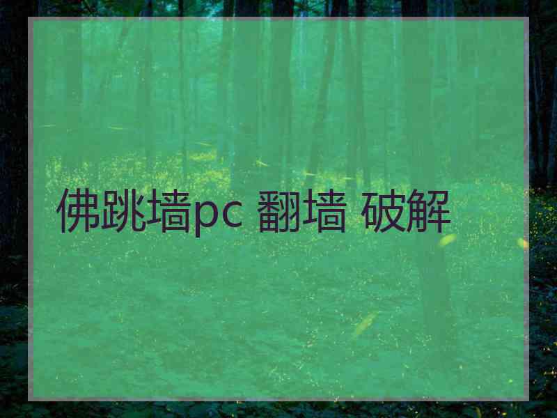 佛跳墙pc 翻墙 破解