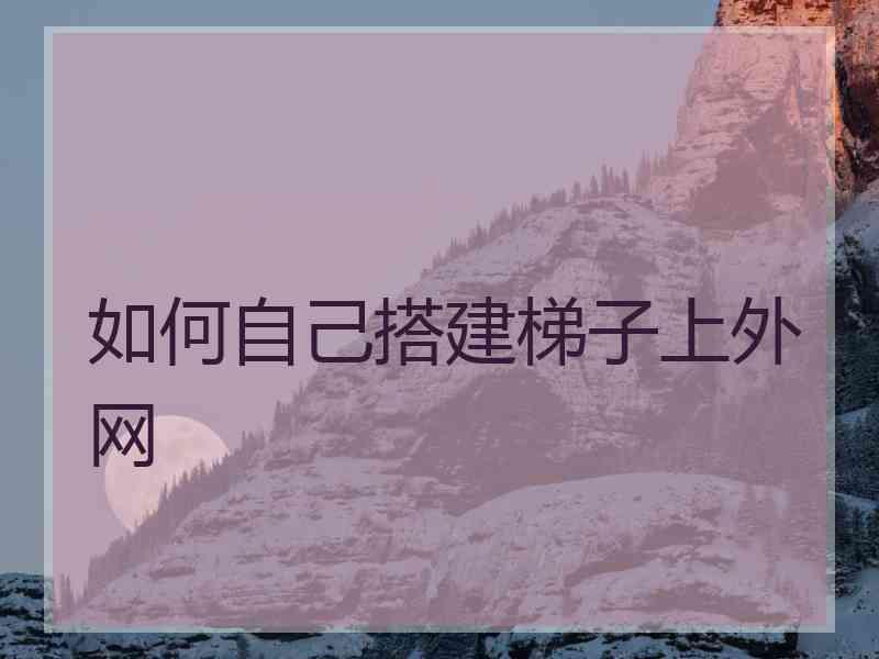 如何自己搭建梯子上外网