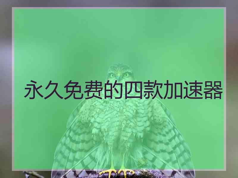 永久免费的四款加速器