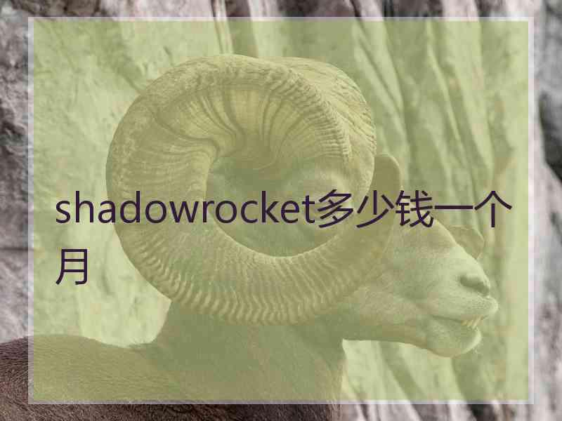 shadowrocket多少钱一个月