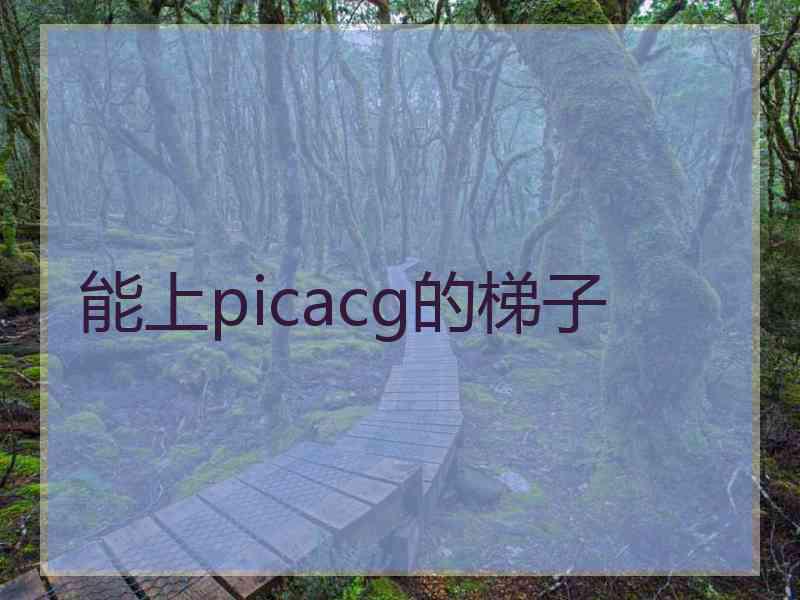 能上picacg的梯子
