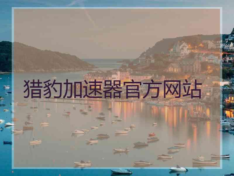 猎豹加速器官方网站