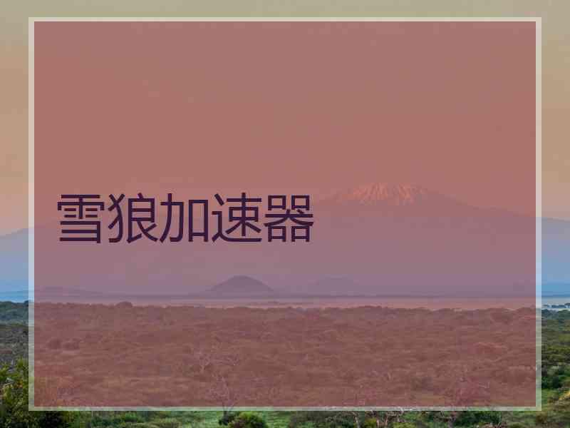 雪狼加速器