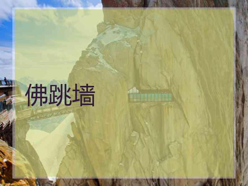 佛跳墙