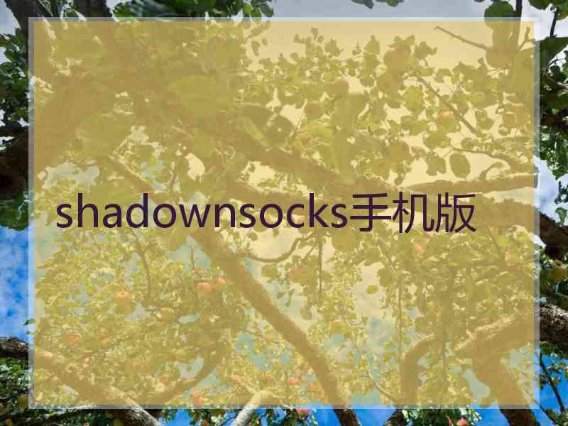 shadownsocks手机版