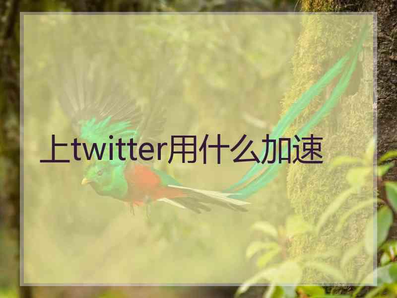 上twitter用什么加速