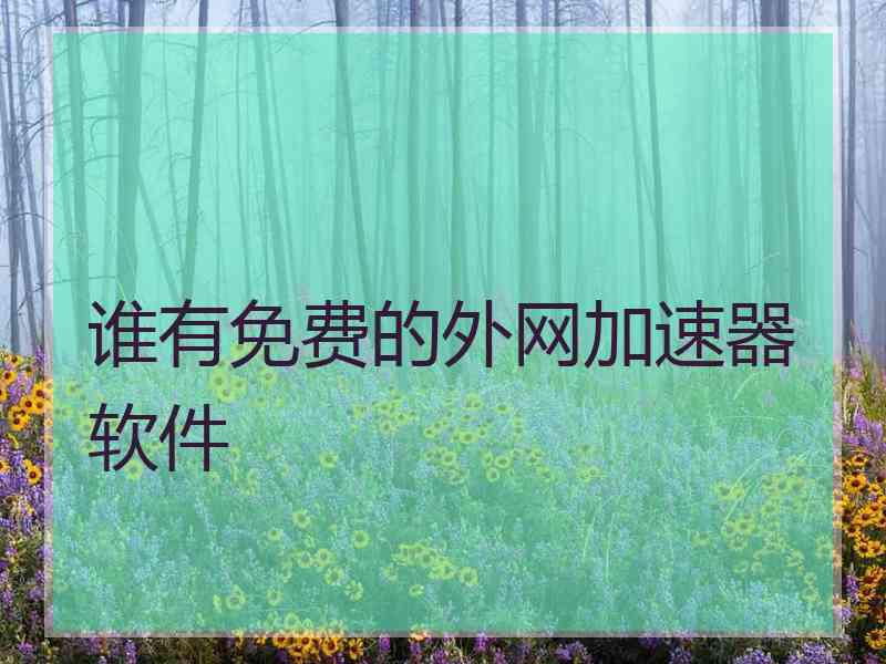 谁有免费的外网加速器软件