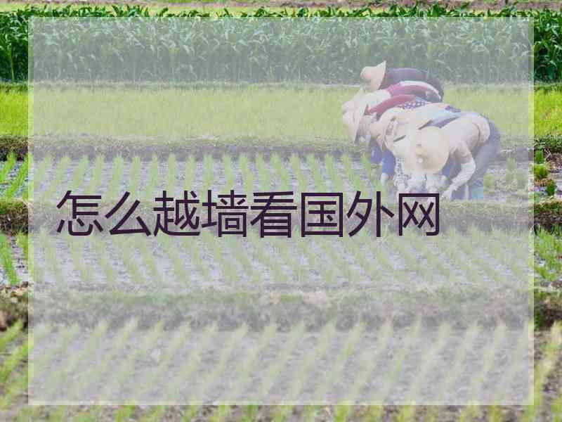 怎么越墙看国外网