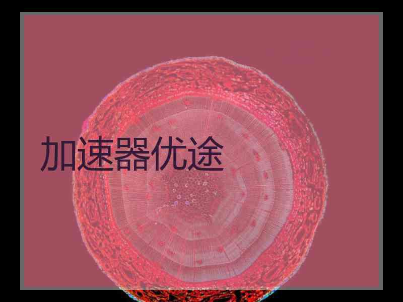 加速器优途