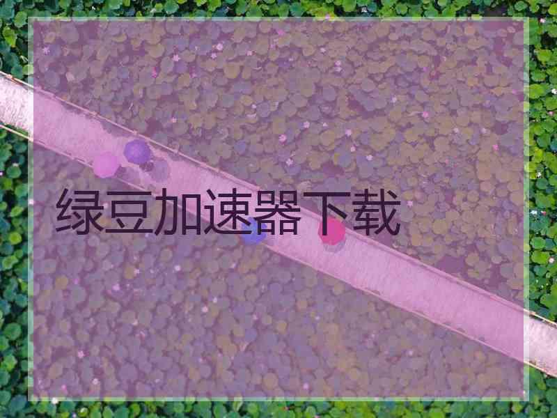 绿豆加速器下载