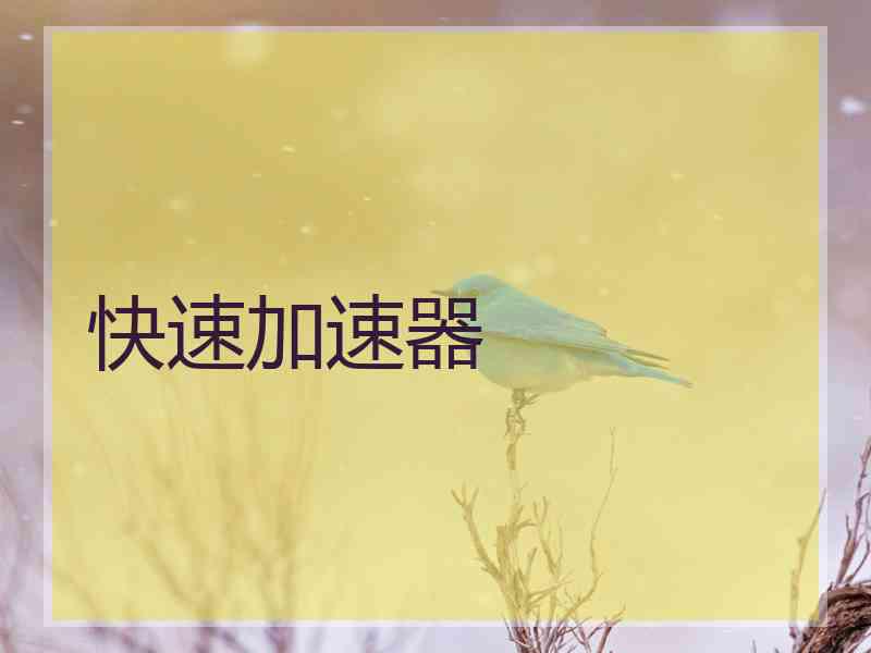 快速加速器