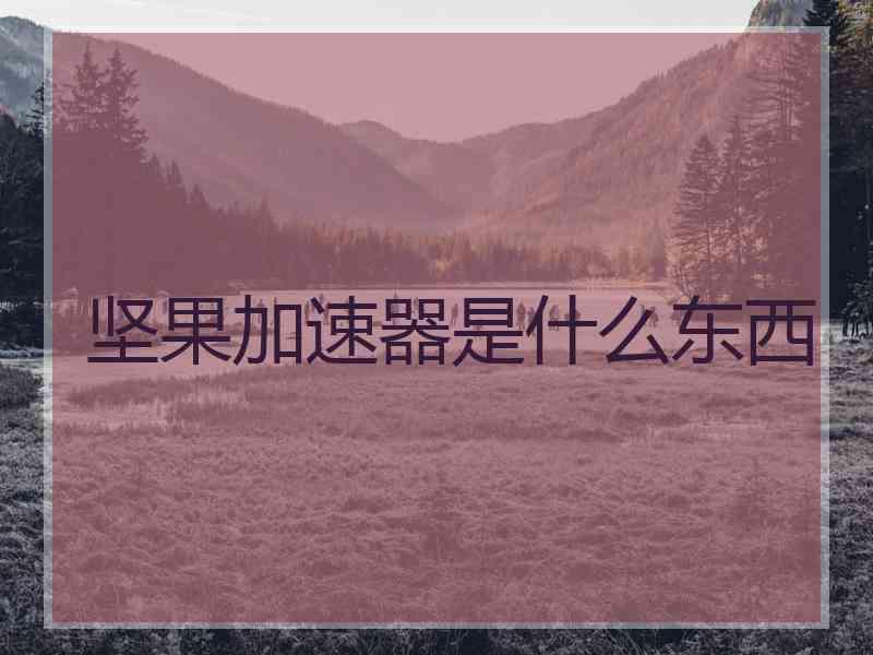 坚果加速器是什么东西