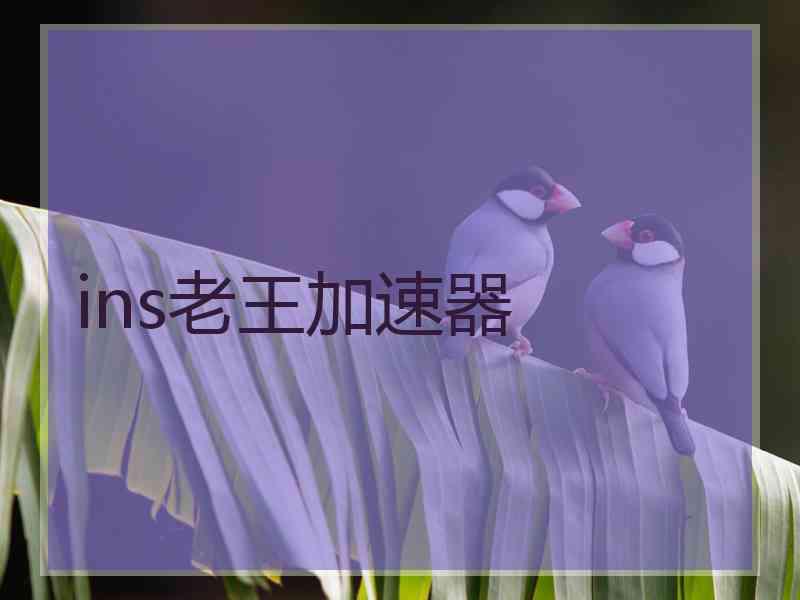 ins老王加速器