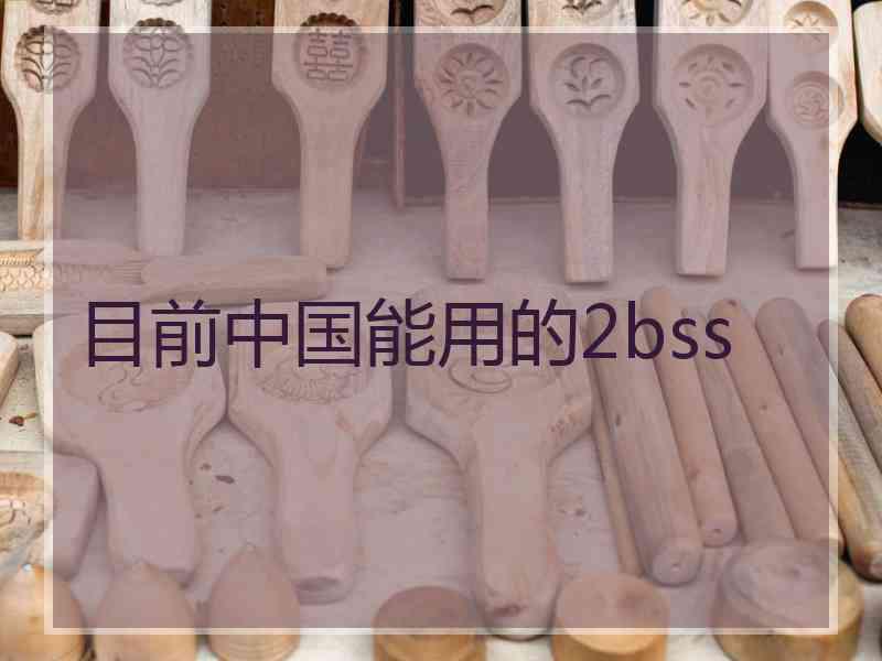 目前中国能用的2bss