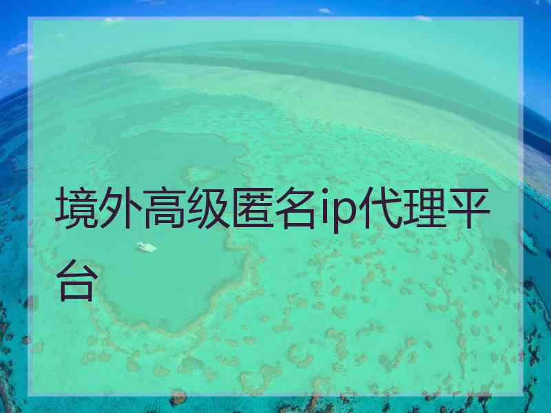 境外高级匿名ip代理平台