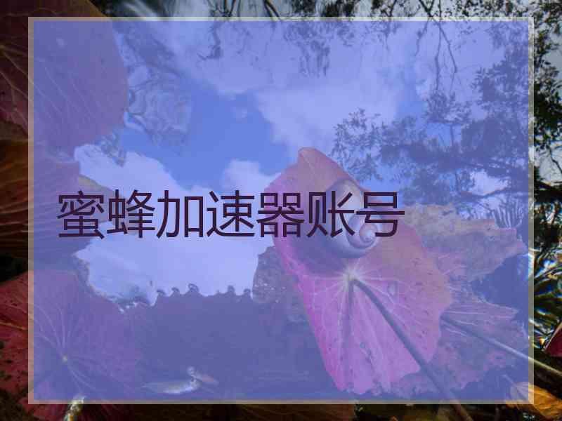 蜜蜂加速器账号