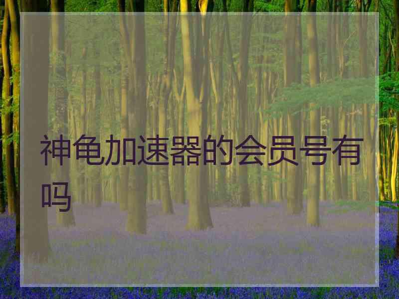 神龟加速器的会员号有吗