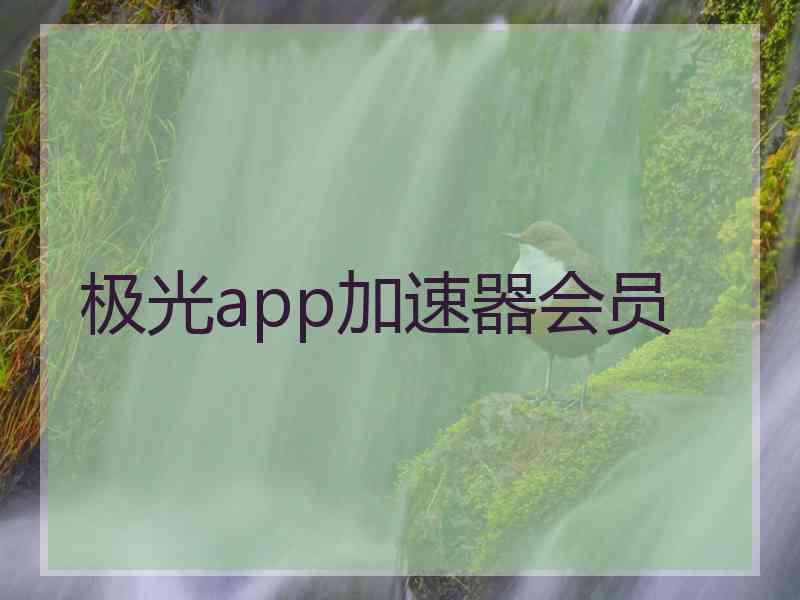 极光app加速器会员