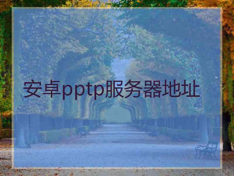 安卓pptp服务器地址