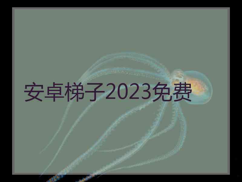 安卓梯子2023免费