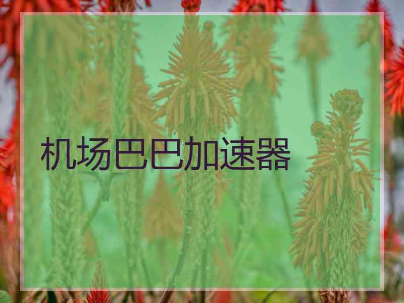 机场巴巴加速器