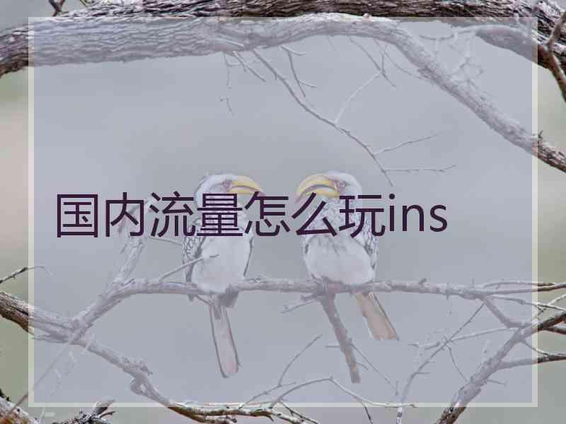 国内流量怎么玩ins