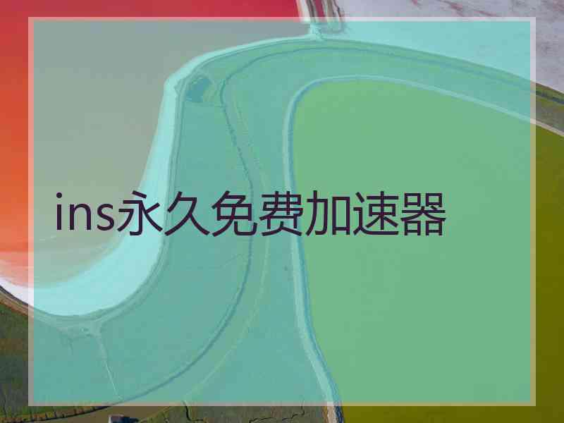 ins永久免费加速器
