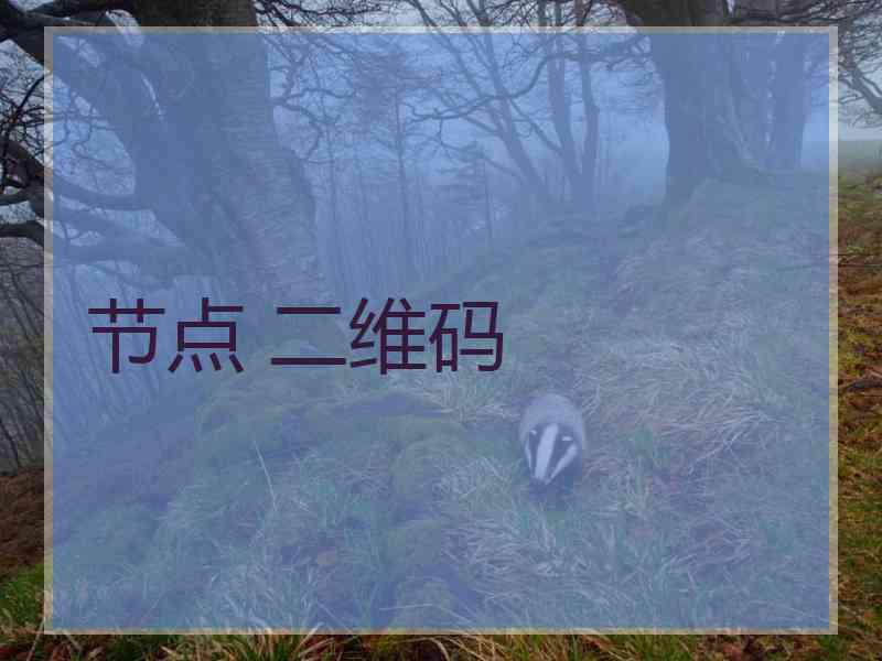 节点 二维码