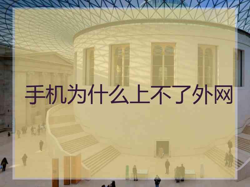 手机为什么上不了外网