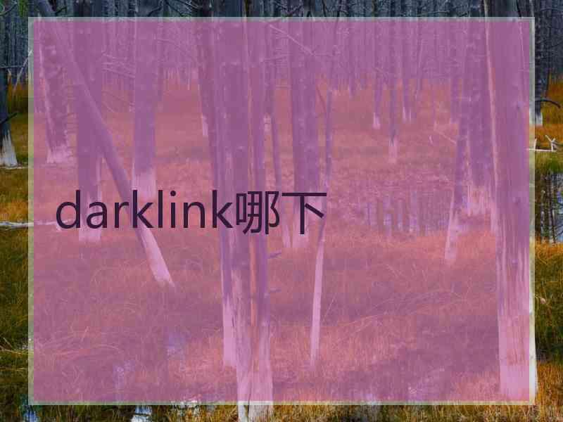 darklink哪下