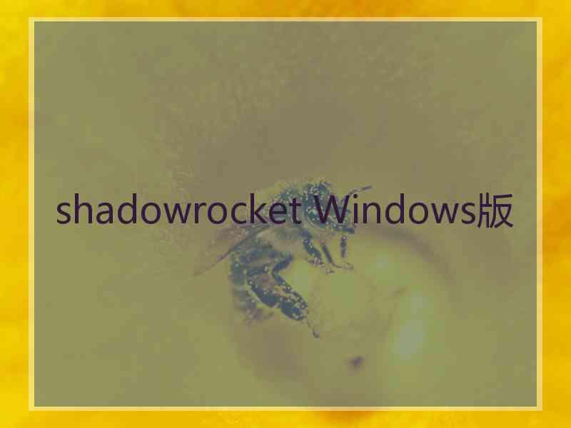 shadowrocket Windows版