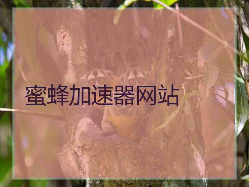蜜蜂加速器网站
