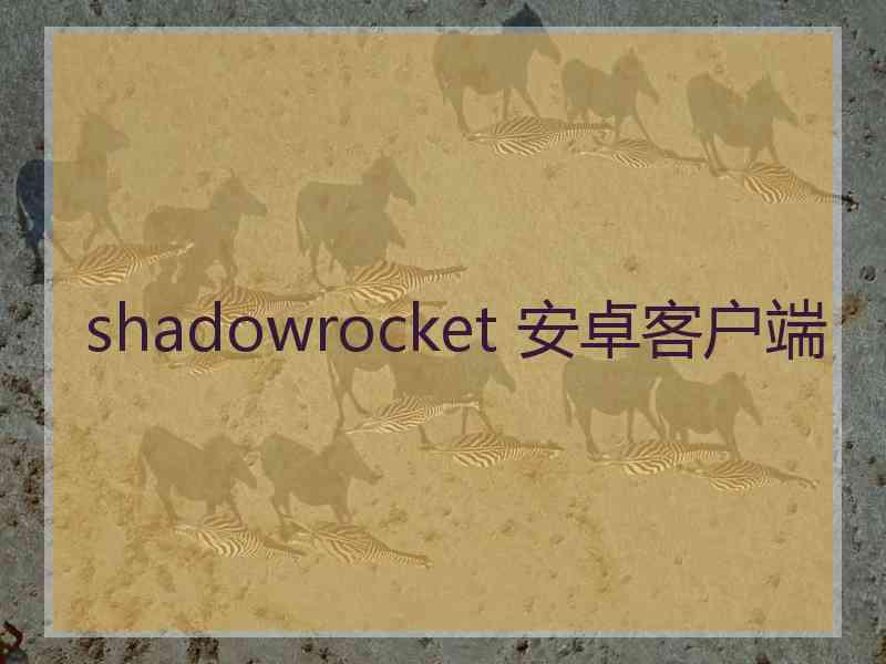shadowrocket 安卓客户端