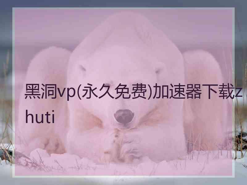 黑洞vp(永久免费)加速器下载zhuti