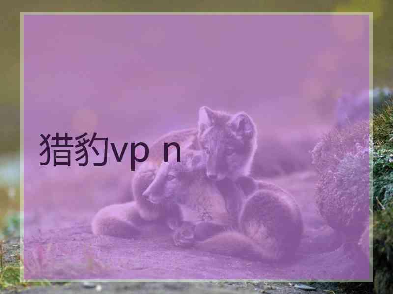 猎豹vp n