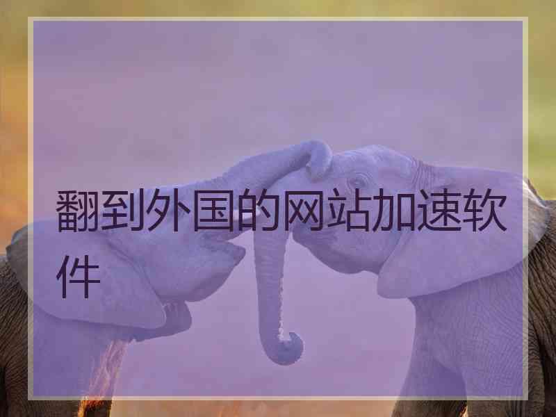 翻到外国的网站加速软件