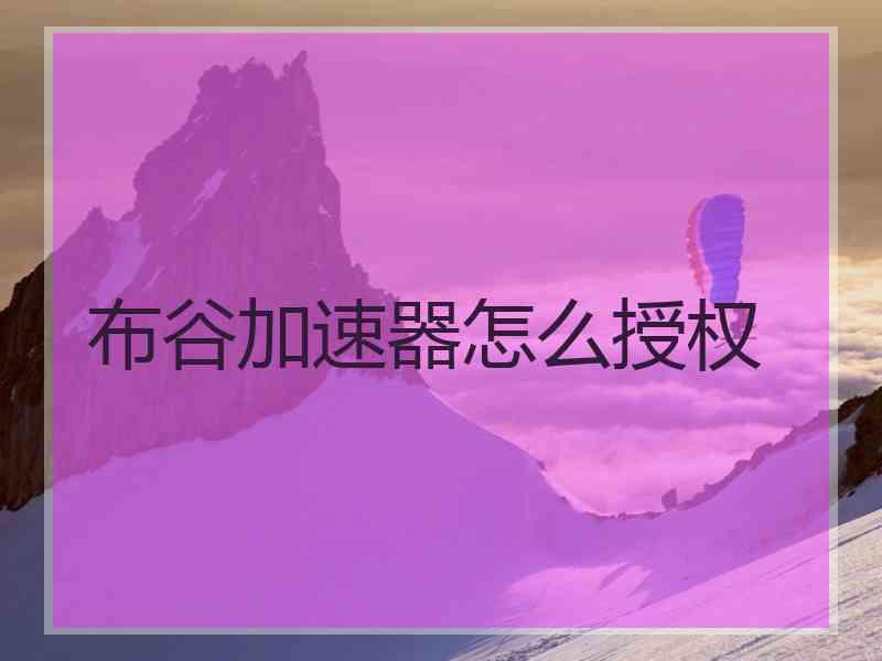 布谷加速器怎么授权
