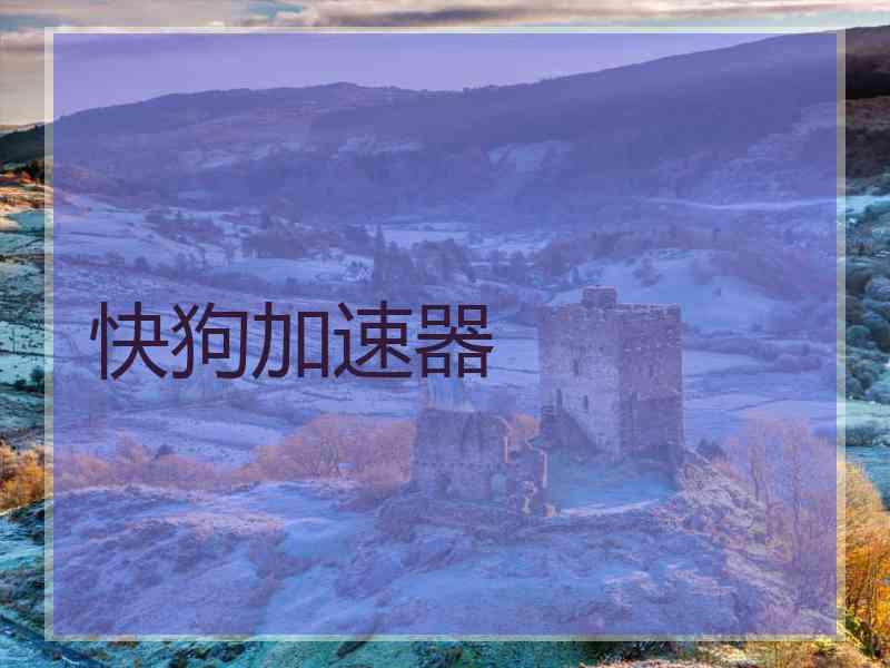 快狗加速器