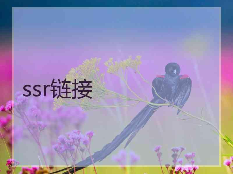 ssr链接
