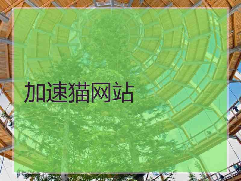 加速猫网站
