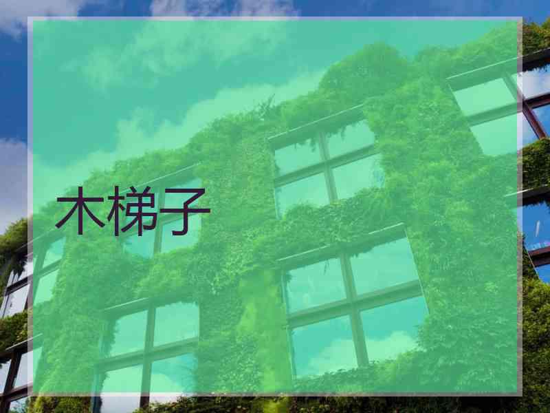 木梯子