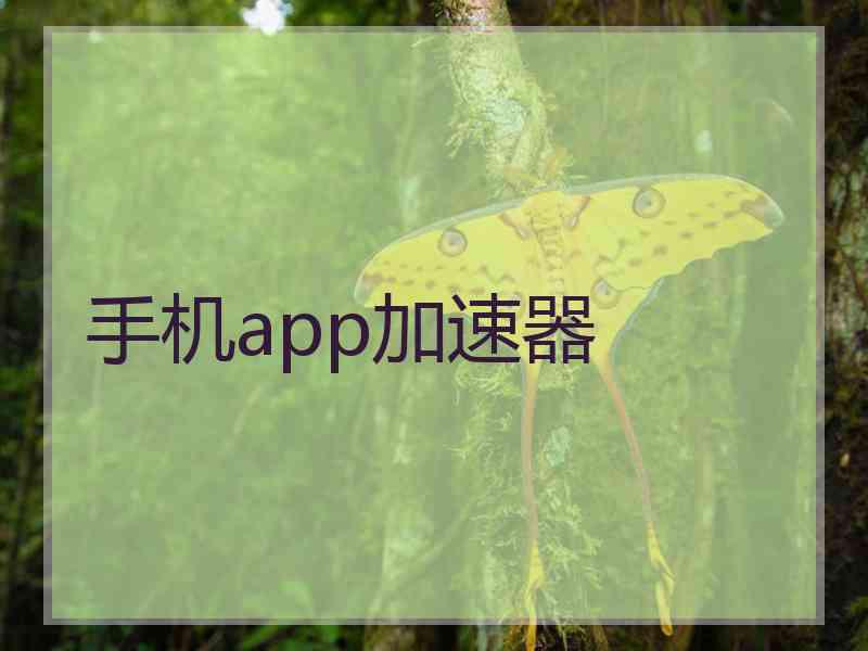 手机app加速器