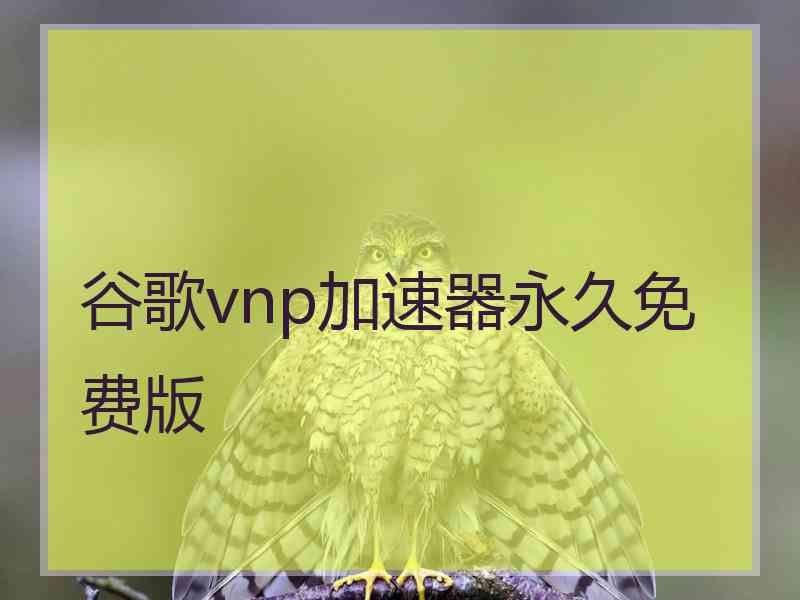 谷歌vnp加速器永久免费版