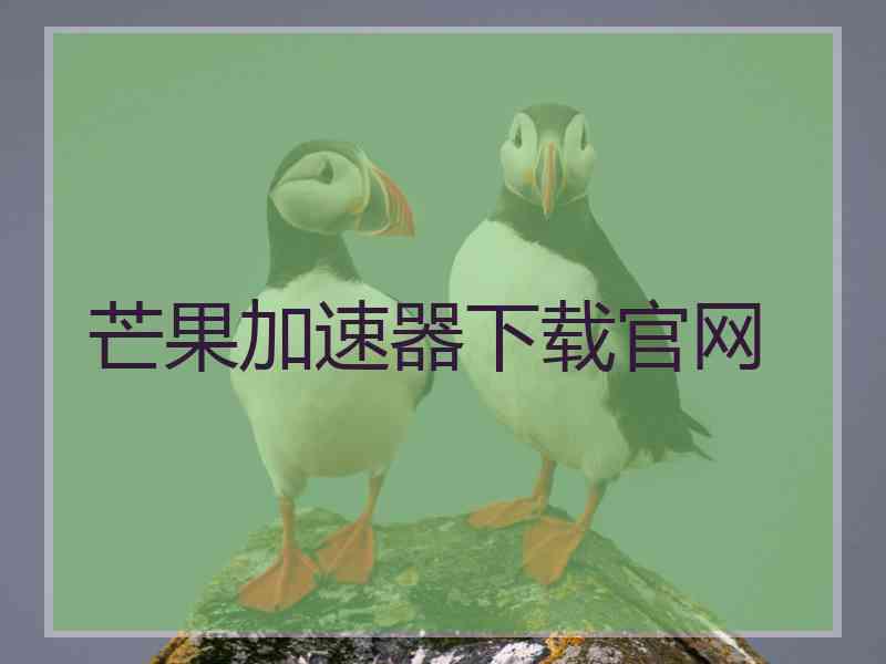 芒果加速器下载官网